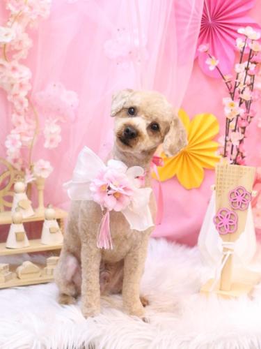 20250320マロンくん